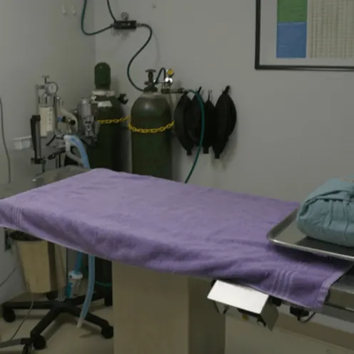 Strawbridge Animal Care's Medical Room 2 where there is metal table exam that has a purple towel on top. There are oxygen tanks in the back and supplies.